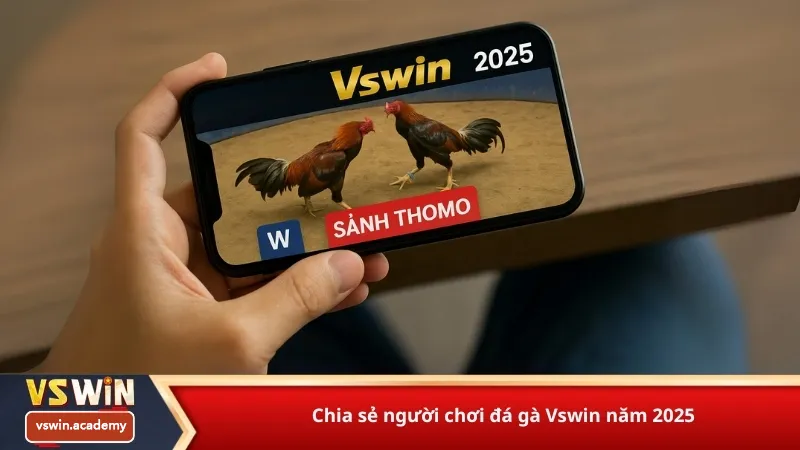 Chia sẻ người chơi đá gà Vswin năm 2025